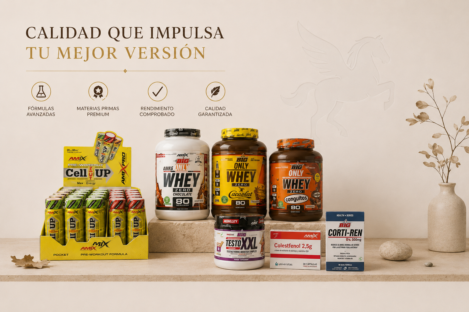 Gama AMIX y Big: proteínas, pre-entrenos, testosterona natural, colesterol y recuperación